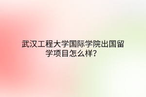 武漢工程大學(xué)國際學(xué)院出國留學(xué)項(xiàng)目怎么樣？