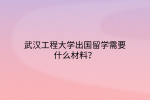 武漢工程大學(xué)出國留學(xué)需要什么材料？