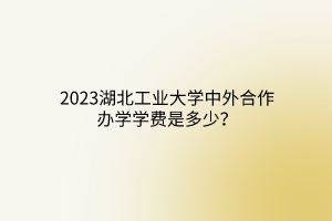 2023湖北工業(yè)大學(xué)中外合作辦學(xué)學(xué)費(fèi)是多少？