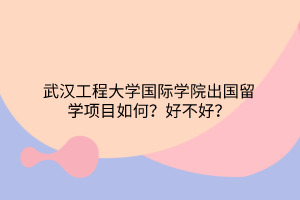 武漢工程大學國際學院出國留學項目如何？好不好？