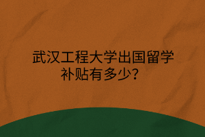 武漢工程大學出國留學補貼有多少？