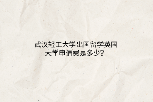 武漢輕工大學(xué)出國(guó)留學(xué)英國(guó)大學(xué)申請(qǐng)費(fèi)是多少？