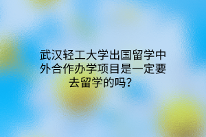 武漢輕工大學(xué)出國留學(xué)中外合作辦學(xué)項(xiàng)目是一定要去留學(xué)的嗎？