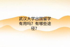 武漢大學(xué)出國(guó)留學(xué)有用嗎？有哪些途徑？