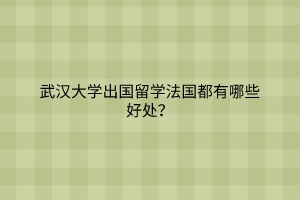 武漢大學(xué)出國留學(xué)法國都有哪些好處？