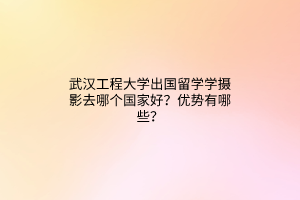 武漢工程大學(xué)出國留學(xué)學(xué)攝影去哪個(gè)國家好？優(yōu)勢有哪些？