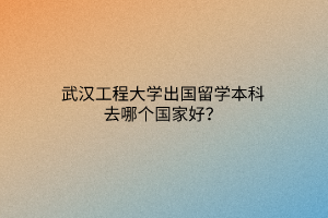 武漢工程大學出國留學本科去哪個國家好？