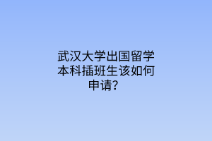 武漢大學出國留學本科插班生該如何申請？