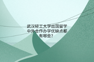 武漢輕工大學(xué)出國留學(xué)中外合作辦學(xué)優(yōu)缺點(diǎn)都有哪些？