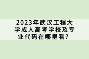 2023年武漢工程大學(xué)成人高考學(xué)校及專業(yè)代碼在哪里看？