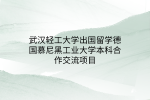 武漢輕工大學(xué)出國留學(xué)德國慕尼黑工業(yè)大學(xué)本科合作交流項(xiàng)目
