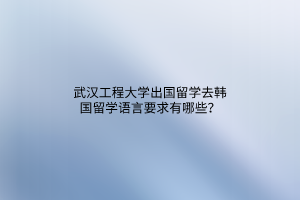 武漢工程大學出國留學去韓國留學語言要求有哪些？