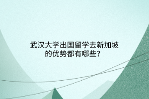 武漢大學出國留學去新加坡的優(yōu)勢都有哪些？