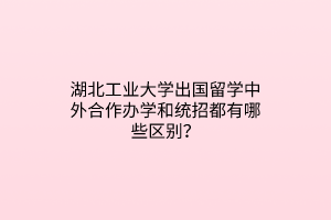 湖北工業(yè)大學(xué)出國留學(xué)中外合作辦學(xué)和統(tǒng)招都有哪些區(qū)別？