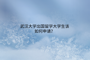 武漢大學(xué)出國留學(xué)大學(xué)生該如何申請？