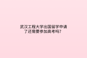 武漢工程大學(xué)出國(guó)留學(xué)申請(qǐng)了還需要參加高考嗎？