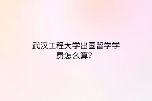 武漢工程大學(xué)出國(guó)留學(xué)學(xué)費(fèi)怎么算？