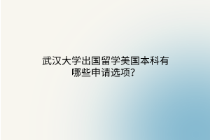 武漢大學出國留學美國本科有哪些申請選項？