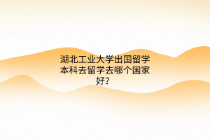 湖北工業(yè)大學(xué)出國(guó)留學(xué)本科去留學(xué)去哪個(gè)國(guó)家好？
