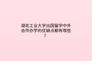 湖北工業(yè)大學出國留學中外合作辦學的優(yōu)缺點都有哪些？