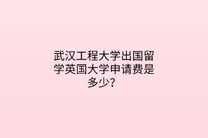 武漢工程大學(xué)出國留學(xué)英國大學(xué)申請費(fèi)是多少？