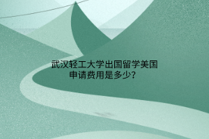 武漢輕工大學(xué)出國(guó)留學(xué)美國(guó)申請(qǐng)費(fèi)用是多少？