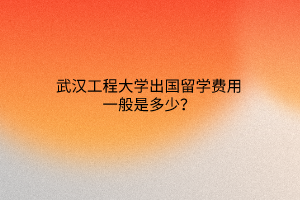 武漢工程大學(xué)出國留學(xué)費(fèi)用一般是多少？
