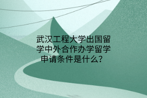 武漢工程大學(xué)出國(guó)留學(xué)中外合作辦學(xué)留學(xué)申請(qǐng)條件是什么？