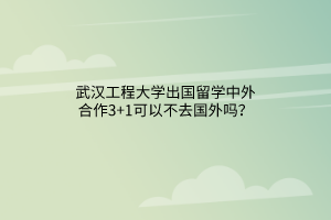 武漢工程大學(xué)出國留學(xué)中外合作3+1可以不去國外嗎？