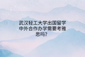 武漢輕工大學(xué)出國留學(xué)中外合作辦學(xué)需要考雅思嗎？
