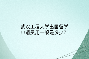 武漢工程大學(xué)出國(guó)留學(xué)申請(qǐng)費(fèi)用一般是多少？