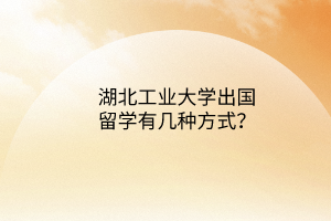 湖北工業(yè)大學(xué)出國留學(xué)有幾種方式？