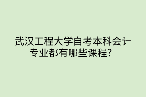 武漢工程大學(xué)自考本科會(huì)計(jì)專業(yè)都有哪些課程？