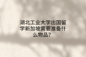 湖北工業(yè)大學(xué)出國留學(xué)新加坡需要準(zhǔn)備什么物品？