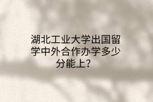 湖北工業(yè)大學出國留學中外合作辦學多少分能上？