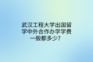武漢工程大學出國留學中外合作辦學學費一般都多少？