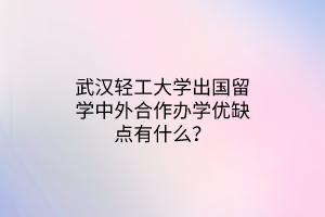 武漢輕工大學(xué)出國留學(xué)中外合作辦學(xué)優(yōu)缺點(diǎn)有什么？