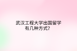 武漢工程大學(xué)出國(guó)留學(xué)有幾種方式？