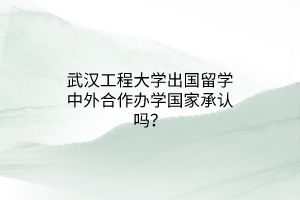 武漢工程大學出國留學中外合作辦學國家承認嗎？