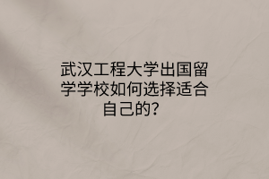 武漢工程大學(xué)出國留學(xué)學(xué)校如何選擇適合自己的？