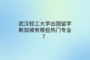 武漢輕工大學出國留學新加坡有哪些熱門專業(yè)？
