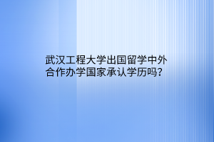 武漢工程大學(xué)出國留學(xué)中外合作辦學(xué)國家承認學(xué)歷嗎？