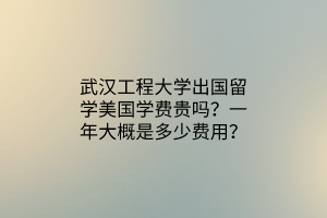 武漢工程大學(xué)出國(guó)留學(xué)美國(guó)學(xué)費(fèi)貴嗎？一年大概是多少費(fèi)用？