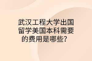 武漢工程大學(xué)出國留學(xué)美國本科需要的費(fèi)用是哪些？