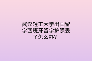 武漢輕工大學(xué)出國(guó)留學(xué)西班牙留學(xué)護(hù)照丟了怎么辦？