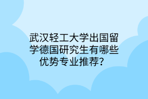 武漢輕工大學(xué)出國(guó)留學(xué)德國(guó)研究生有哪些優(yōu)勢(shì)專(zhuān)業(yè)推薦？