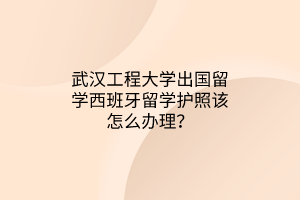 武漢工程大學(xué)出國(guó)留學(xué)西班牙留學(xué)護(hù)照該怎么辦理？