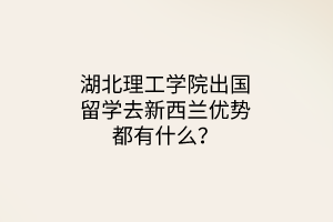 湖北理工學(xué)院出國(guó)留學(xué)去新西蘭優(yōu)勢(shì)都有什么？