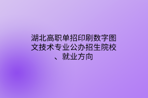 湖北高職單招印刷數(shù)字圖文技術(shù)專業(yè)公辦招生院校、就業(yè)方向
