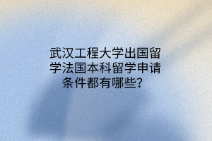 武漢工程大學(xué)出國留學(xué)法國本科留學(xué)申請條件都有哪些？